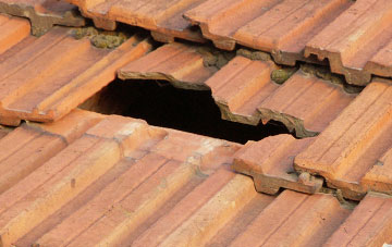 roof repair Bishopsteignton, Devon